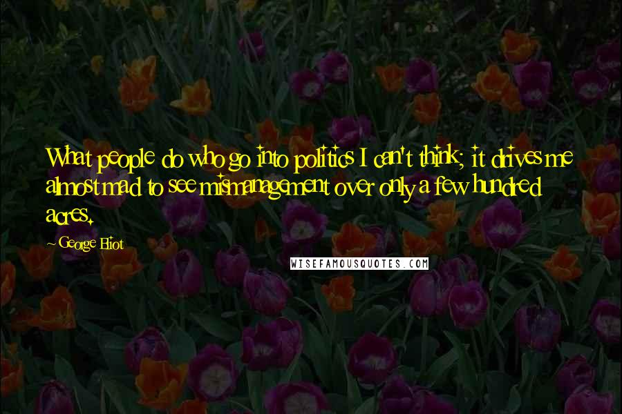 George Eliot Quotes: What people do who go into politics I can't think; it drives me almost mad to see mismanagement over only a few hundred acres.