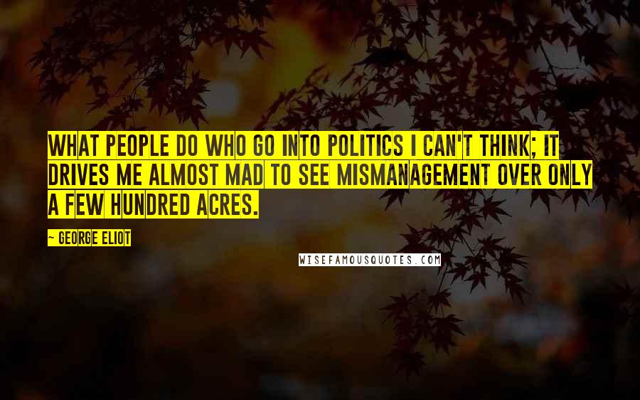 George Eliot Quotes: What people do who go into politics I can't think; it drives me almost mad to see mismanagement over only a few hundred acres.