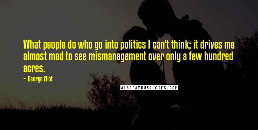 George Eliot Quotes: What people do who go into politics I can't think; it drives me almost mad to see mismanagement over only a few hundred acres.