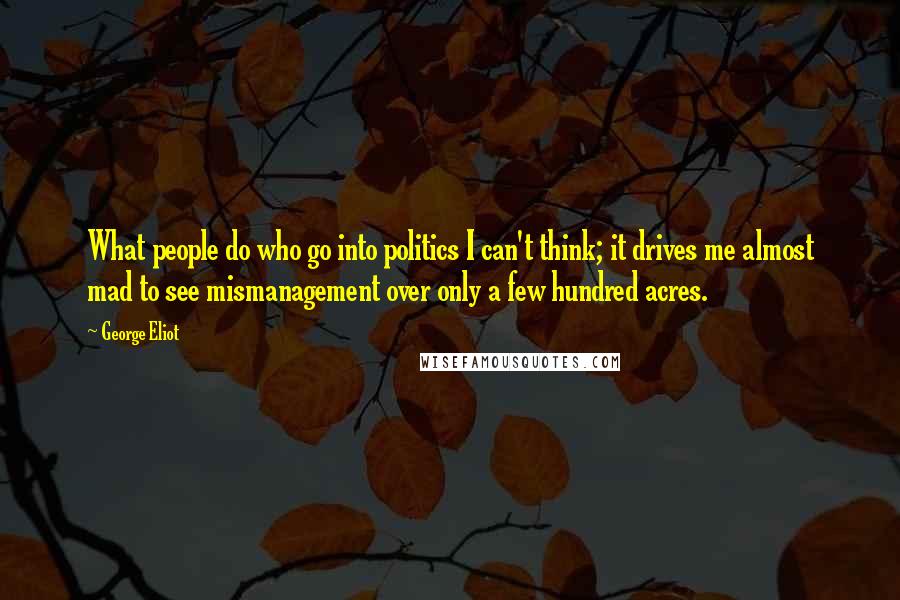 George Eliot Quotes: What people do who go into politics I can't think; it drives me almost mad to see mismanagement over only a few hundred acres.