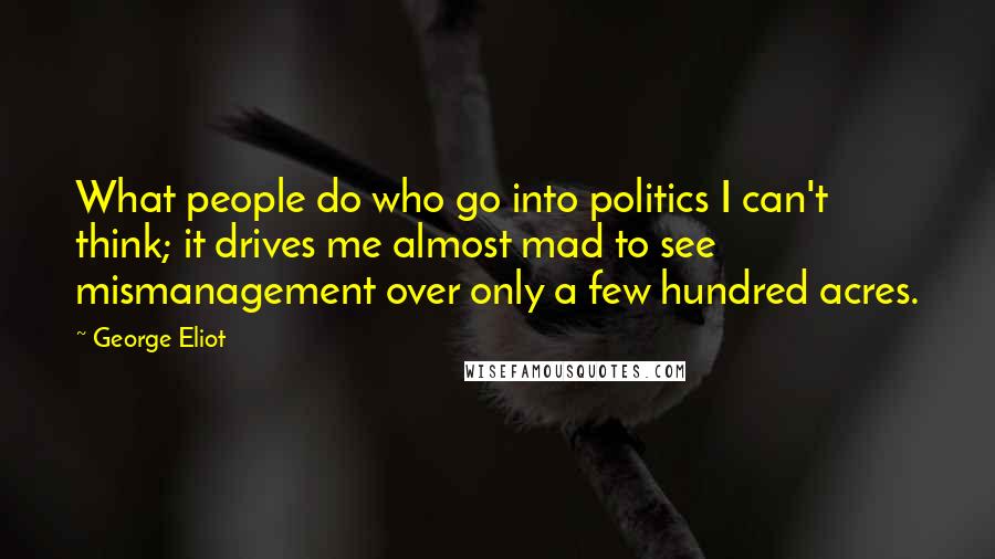 George Eliot Quotes: What people do who go into politics I can't think; it drives me almost mad to see mismanagement over only a few hundred acres.