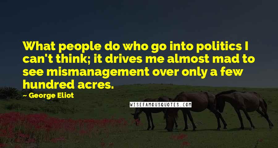 George Eliot Quotes: What people do who go into politics I can't think; it drives me almost mad to see mismanagement over only a few hundred acres.