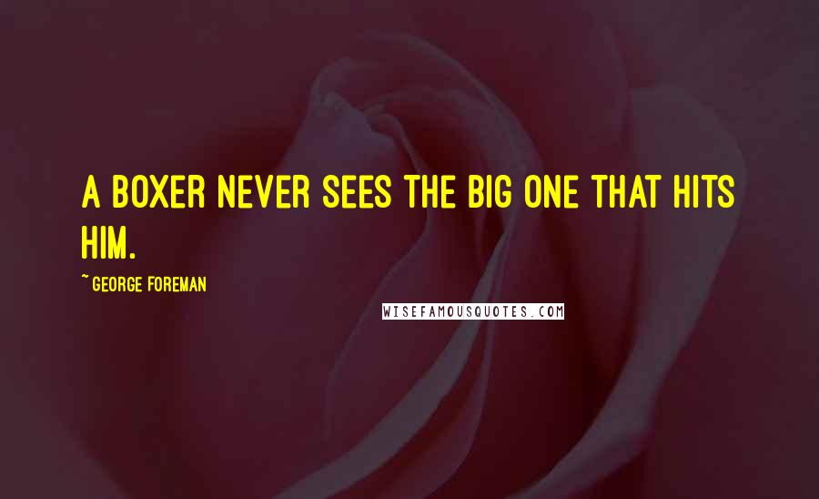 George Foreman Quotes: A boxer never sees the big one that hits him.