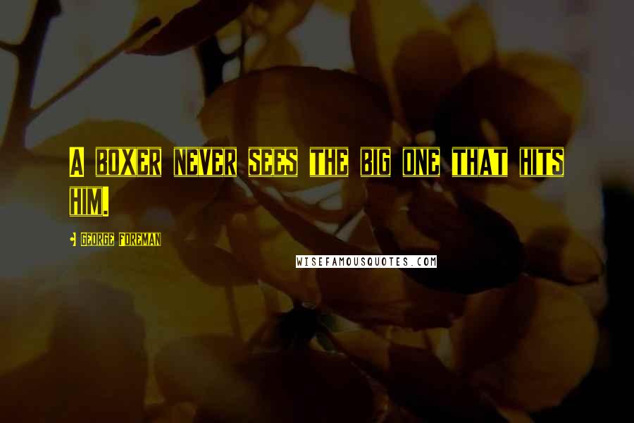 George Foreman Quotes: A boxer never sees the big one that hits him.