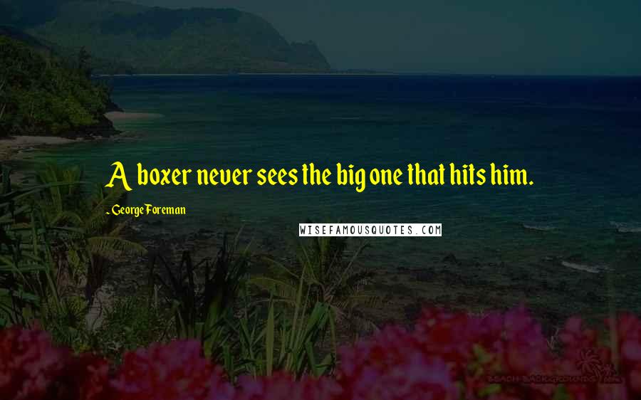 George Foreman Quotes: A boxer never sees the big one that hits him.