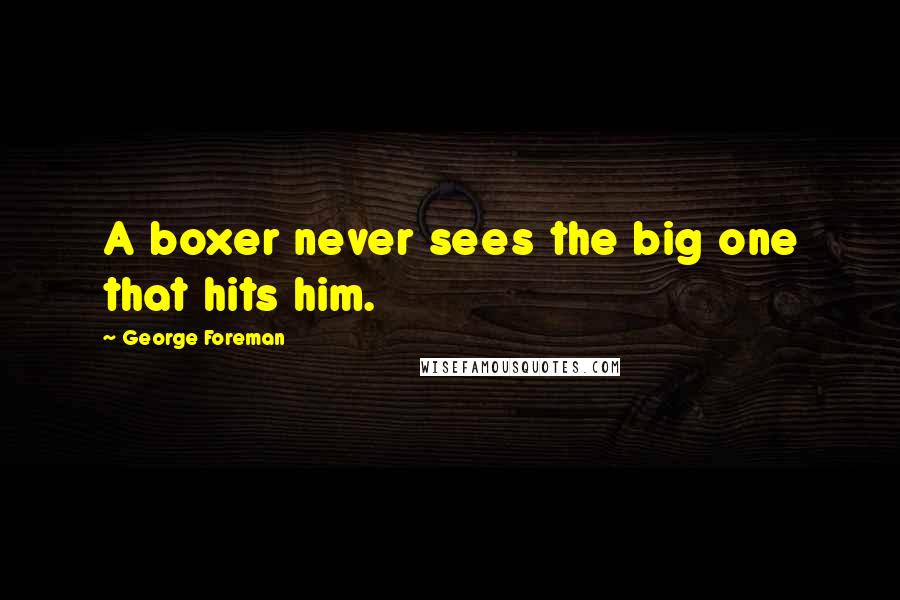 George Foreman Quotes: A boxer never sees the big one that hits him.