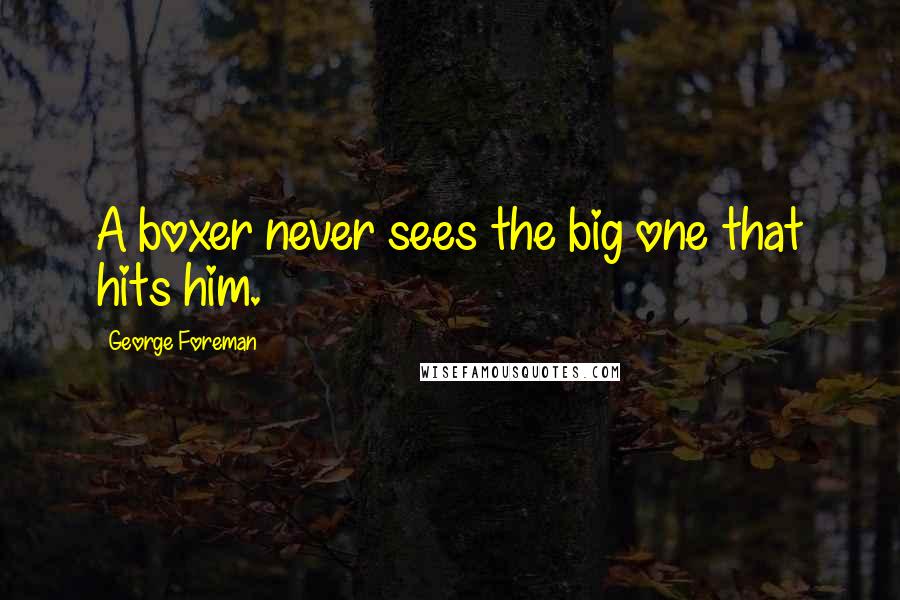 George Foreman Quotes: A boxer never sees the big one that hits him.