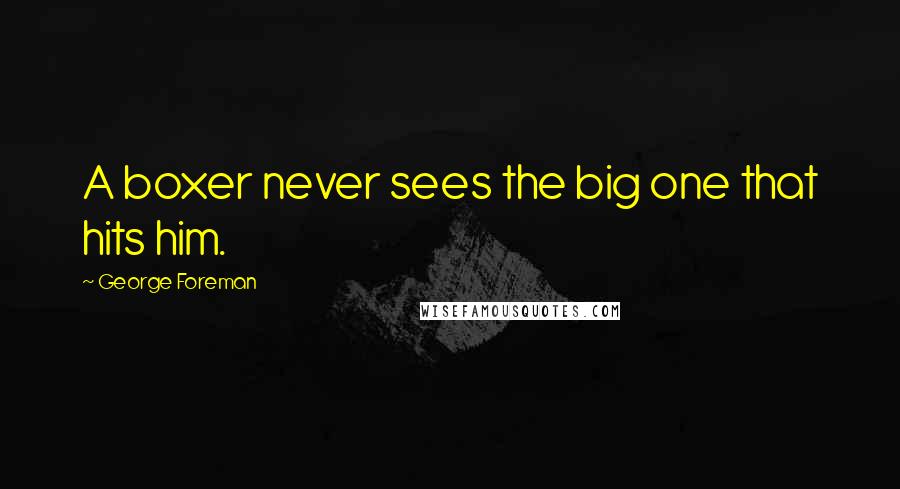 George Foreman Quotes: A boxer never sees the big one that hits him.