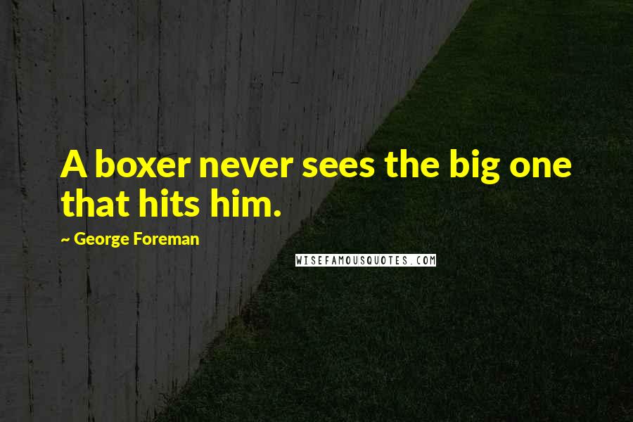 George Foreman Quotes: A boxer never sees the big one that hits him.