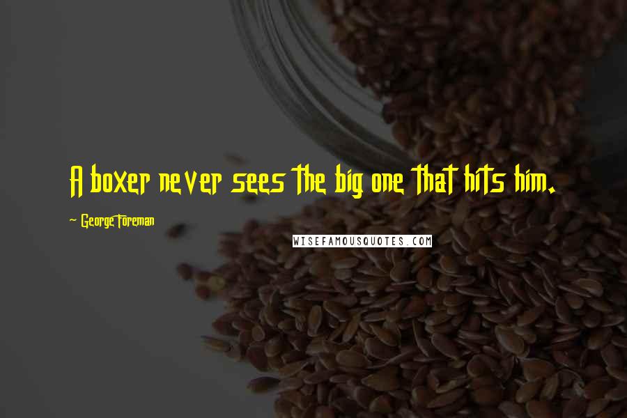 George Foreman Quotes: A boxer never sees the big one that hits him.