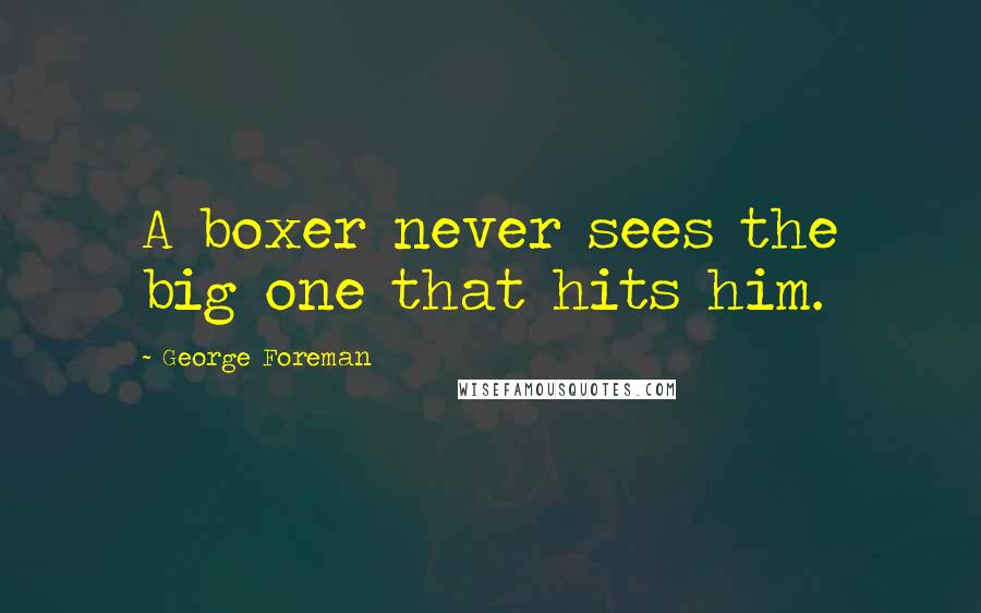 George Foreman Quotes: A boxer never sees the big one that hits him.