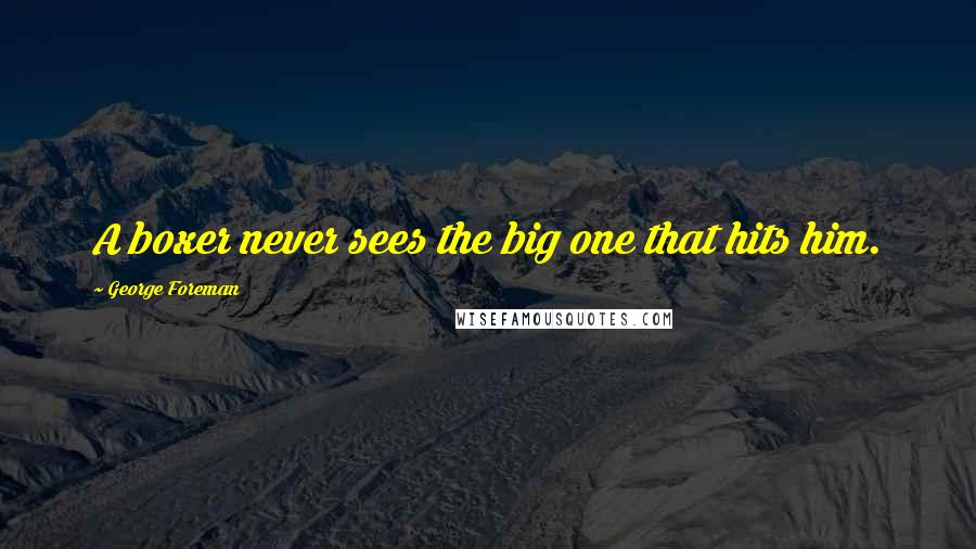 George Foreman Quotes: A boxer never sees the big one that hits him.