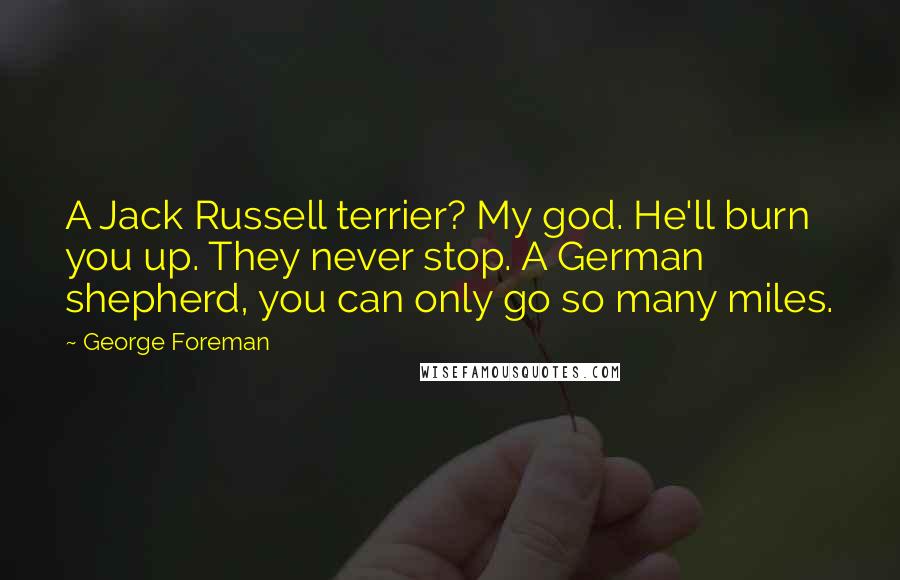 George Foreman Quotes: A Jack Russell terrier? My god. He'll burn you up. They never stop. A German shepherd, you can only go so many miles.