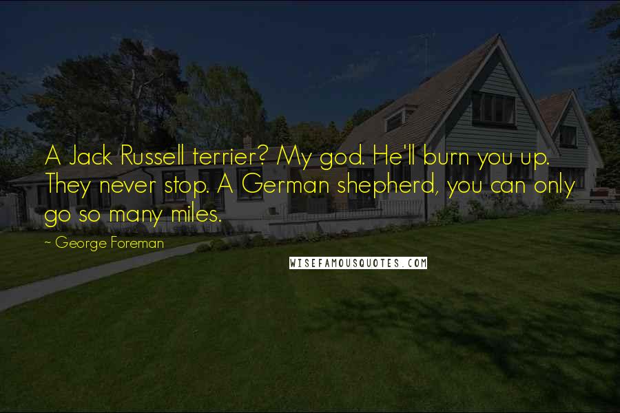 George Foreman Quotes: A Jack Russell terrier? My god. He'll burn you up. They never stop. A German shepherd, you can only go so many miles.