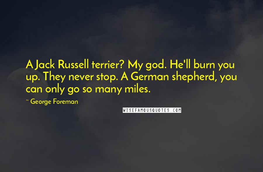 George Foreman Quotes: A Jack Russell terrier? My god. He'll burn you up. They never stop. A German shepherd, you can only go so many miles.