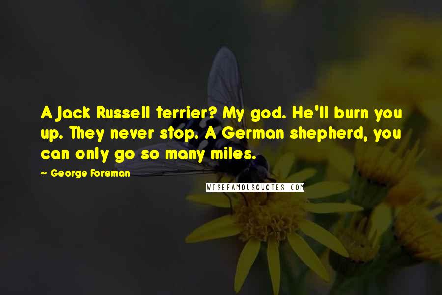 George Foreman Quotes: A Jack Russell terrier? My god. He'll burn you up. They never stop. A German shepherd, you can only go so many miles.