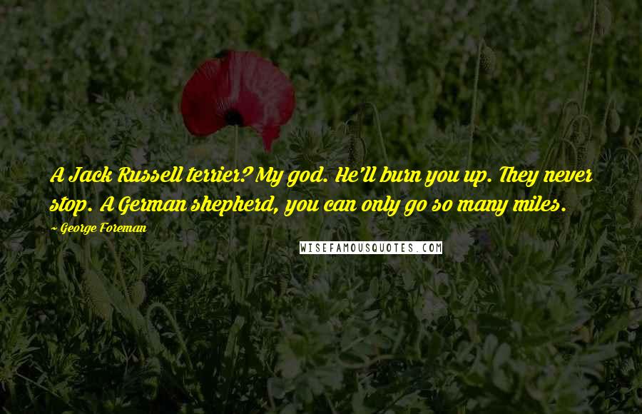 George Foreman Quotes: A Jack Russell terrier? My god. He'll burn you up. They never stop. A German shepherd, you can only go so many miles.