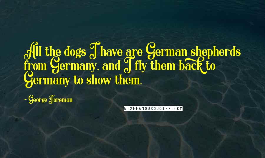 George Foreman Quotes: All the dogs I have are German shepherds from Germany, and I fly them back to Germany to show them.