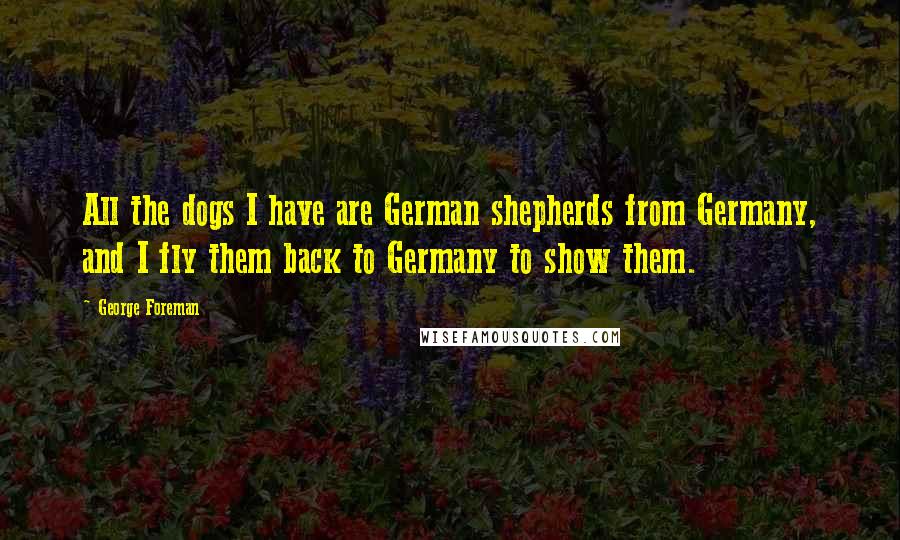 George Foreman Quotes: All the dogs I have are German shepherds from Germany, and I fly them back to Germany to show them.