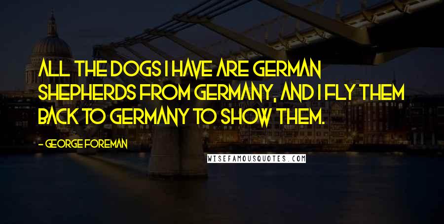 George Foreman Quotes: All the dogs I have are German shepherds from Germany, and I fly them back to Germany to show them.