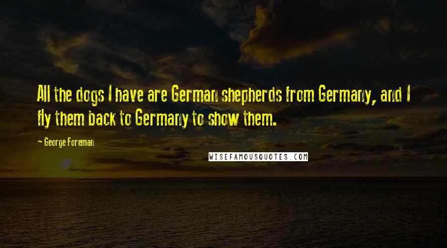 George Foreman Quotes: All the dogs I have are German shepherds from Germany, and I fly them back to Germany to show them.