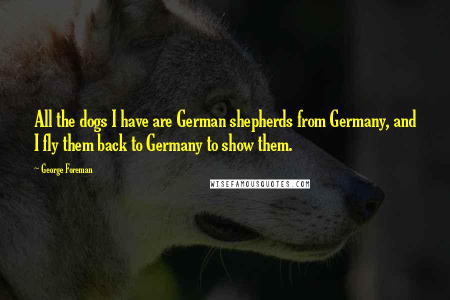 George Foreman Quotes: All the dogs I have are German shepherds from Germany, and I fly them back to Germany to show them.