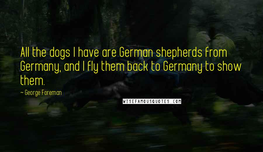 George Foreman Quotes: All the dogs I have are German shepherds from Germany, and I fly them back to Germany to show them.