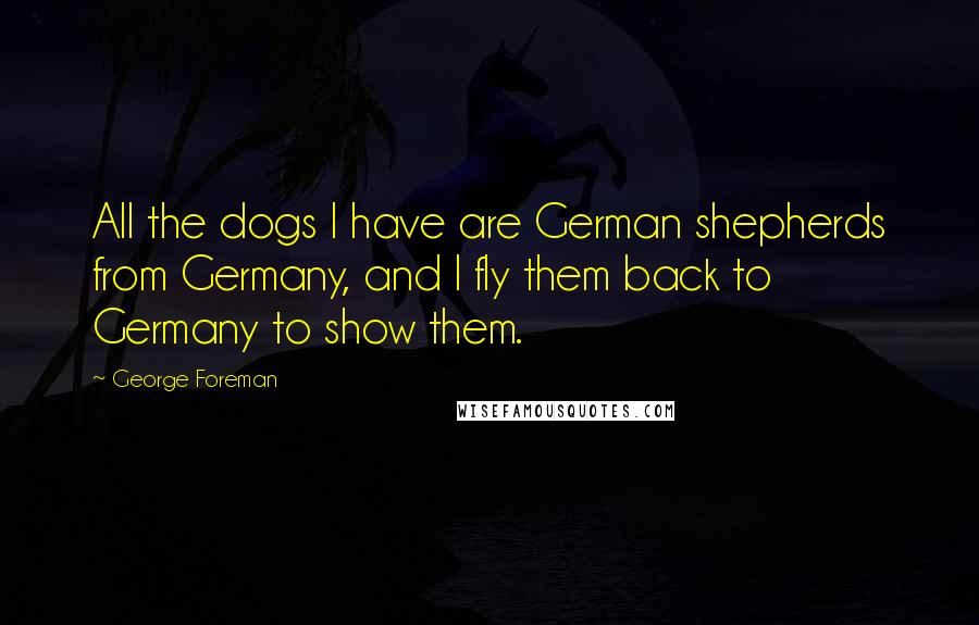 George Foreman Quotes: All the dogs I have are German shepherds from Germany, and I fly them back to Germany to show them.
