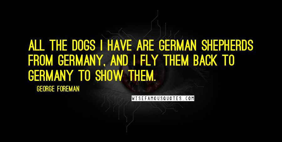 George Foreman Quotes: All the dogs I have are German shepherds from Germany, and I fly them back to Germany to show them.