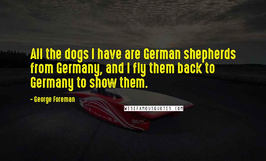 George Foreman Quotes: All the dogs I have are German shepherds from Germany, and I fly them back to Germany to show them.