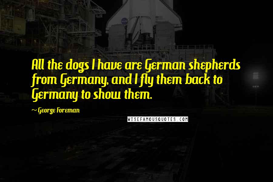 George Foreman Quotes: All the dogs I have are German shepherds from Germany, and I fly them back to Germany to show them.