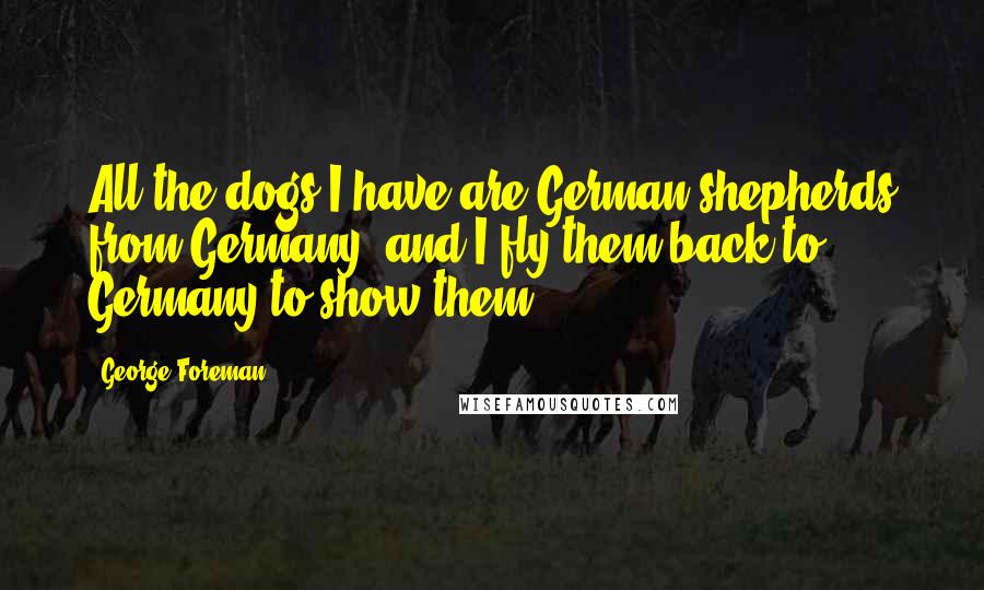 George Foreman Quotes: All the dogs I have are German shepherds from Germany, and I fly them back to Germany to show them.
