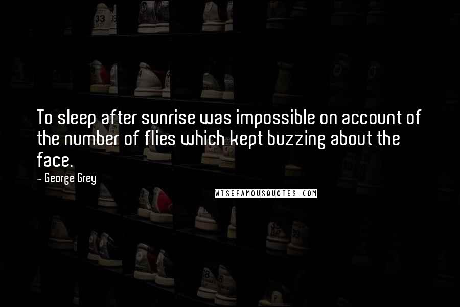 George Grey Quotes: To sleep after sunrise was impossible on account of the number of flies which kept buzzing about the face.
