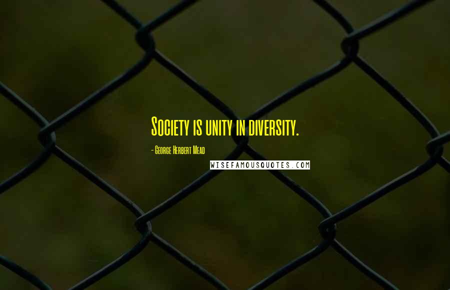 George Herbert Mead Quotes: Society is unity in diversity.