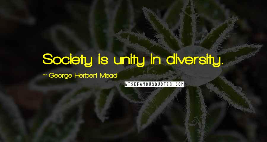 George Herbert Mead Quotes: Society is unity in diversity.