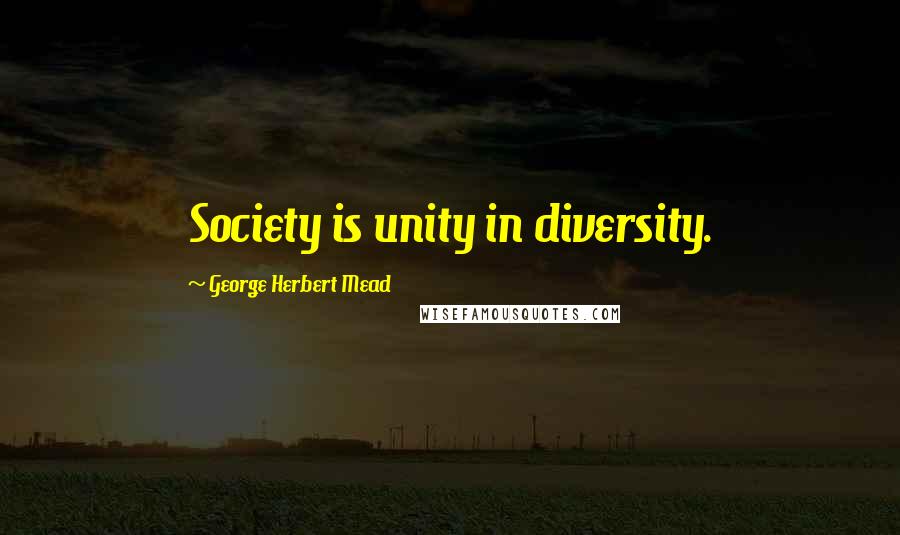 George Herbert Mead Quotes: Society is unity in diversity.