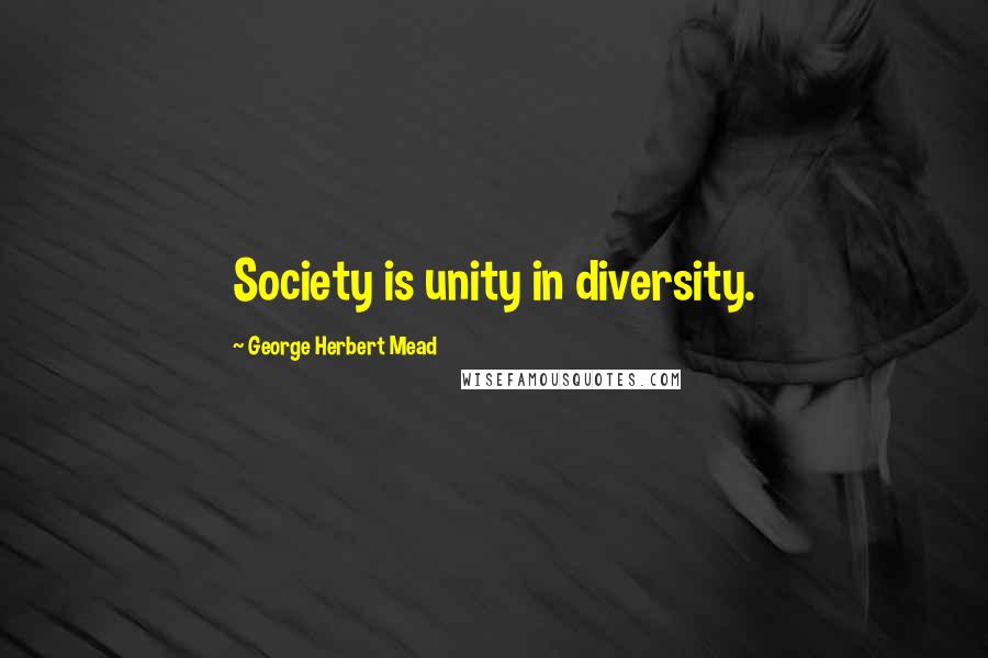 George Herbert Mead Quotes: Society is unity in diversity.