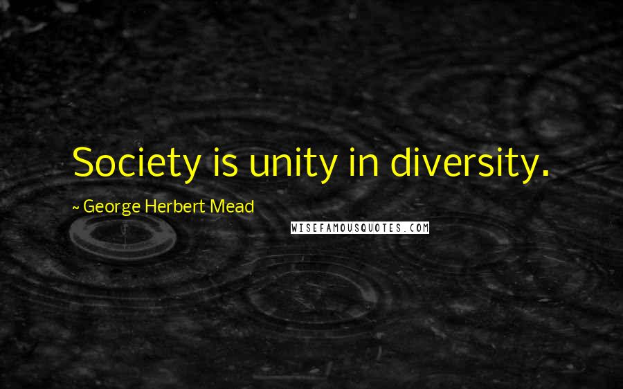 George Herbert Mead Quotes: Society is unity in diversity.