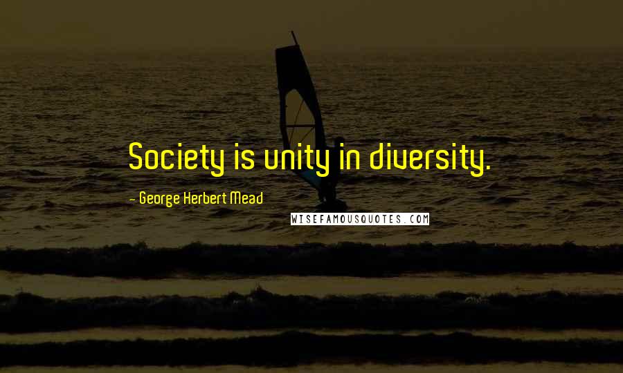 George Herbert Mead Quotes: Society is unity in diversity.