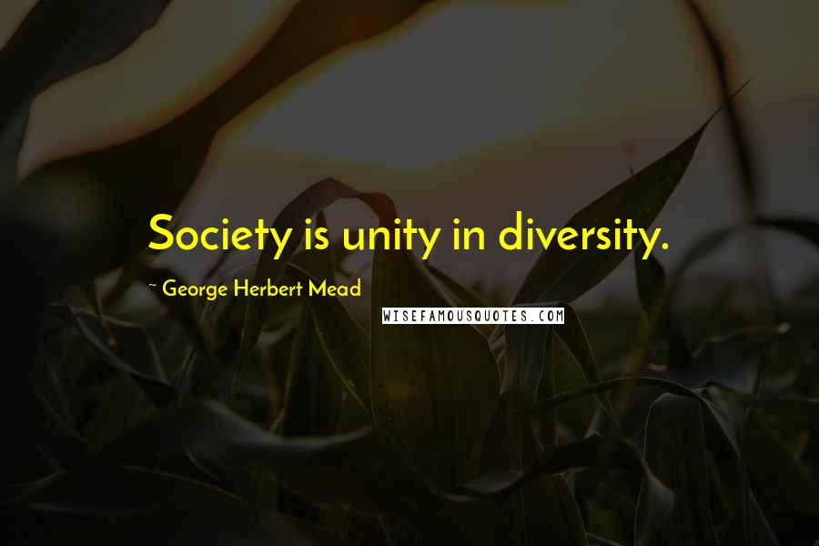 George Herbert Mead Quotes: Society is unity in diversity.