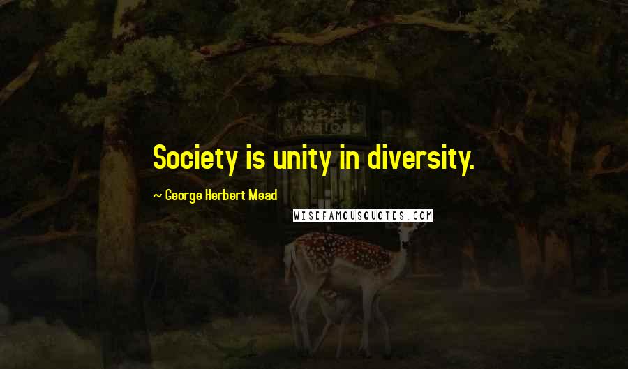 George Herbert Mead Quotes: Society is unity in diversity.