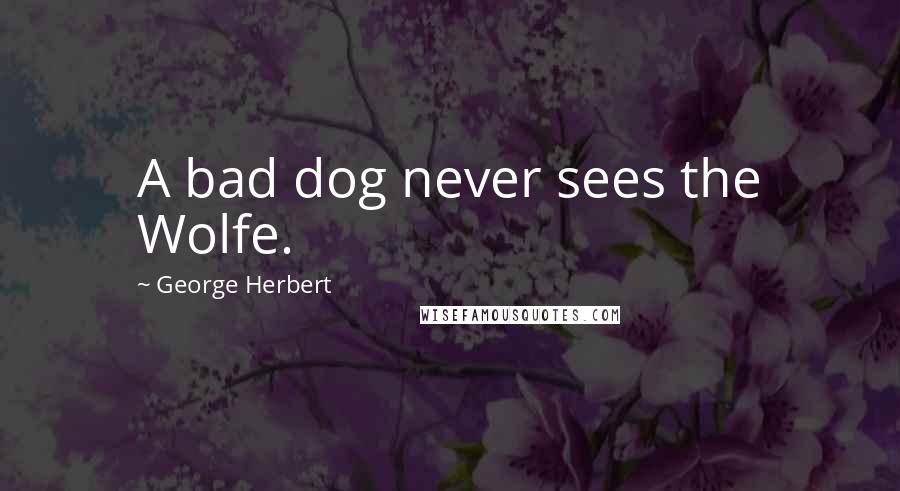 George Herbert Quotes: A bad dog never sees the Wolfe.