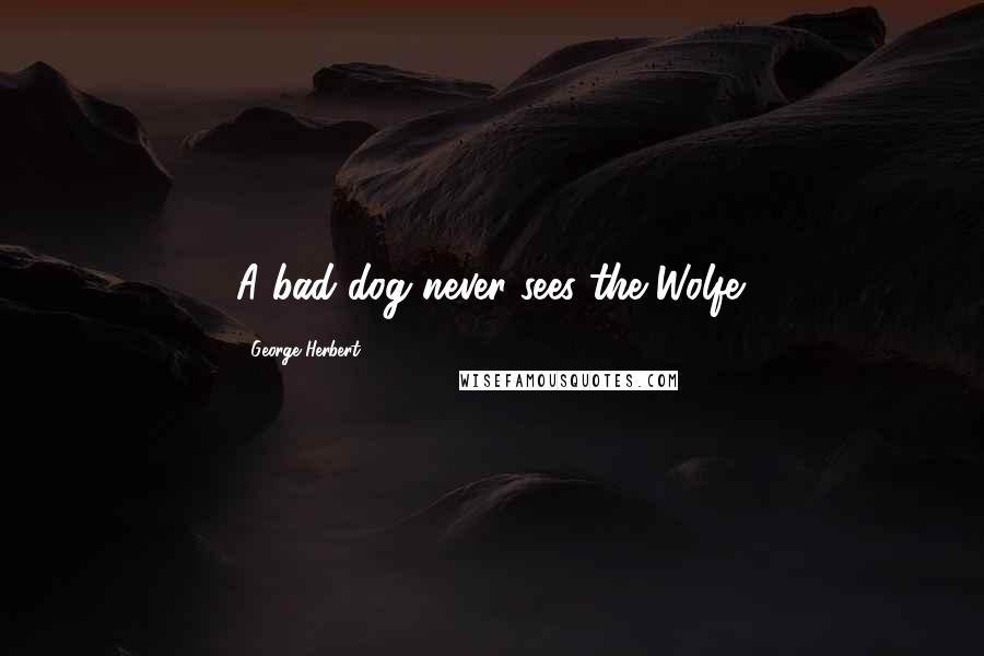 George Herbert Quotes: A bad dog never sees the Wolfe.
