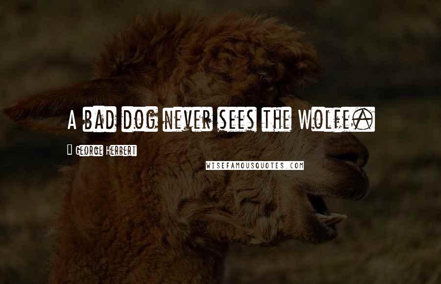 George Herbert Quotes: A bad dog never sees the Wolfe.