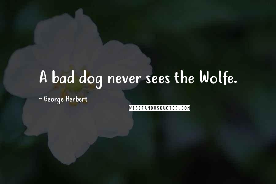 George Herbert Quotes: A bad dog never sees the Wolfe.