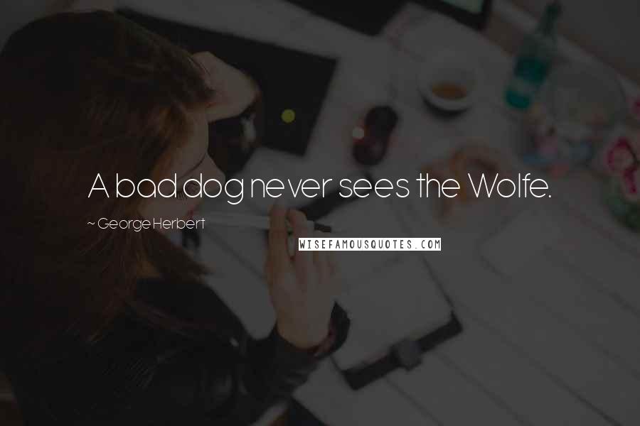 George Herbert Quotes: A bad dog never sees the Wolfe.