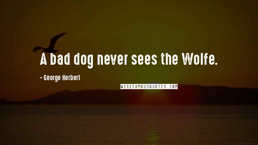George Herbert Quotes: A bad dog never sees the Wolfe.