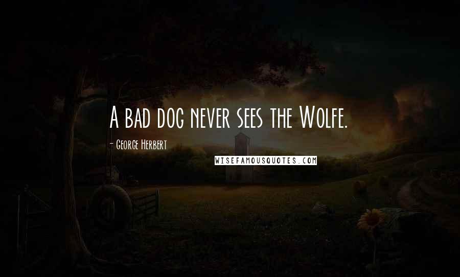 George Herbert Quotes: A bad dog never sees the Wolfe.