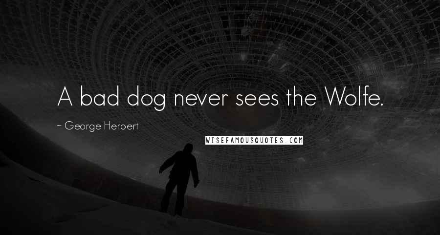 George Herbert Quotes: A bad dog never sees the Wolfe.