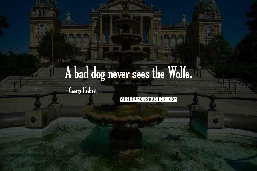 George Herbert Quotes: A bad dog never sees the Wolfe.